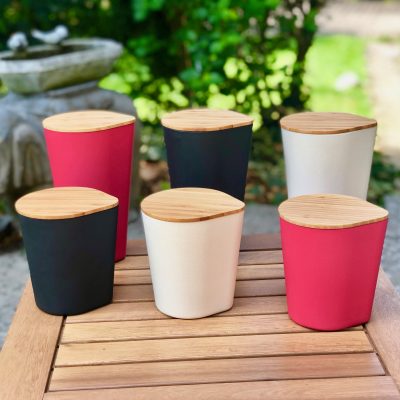 More About Biodegradable Cups Are Eco-Friendly